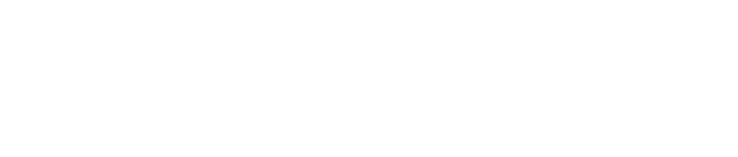 BuildWise logo